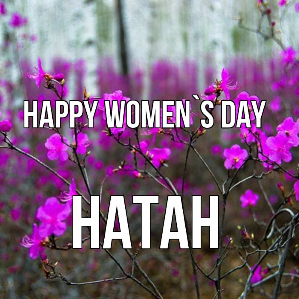 Greetings card с именем, Натан happy women`s day дикие цветы Greetings with text for free download 